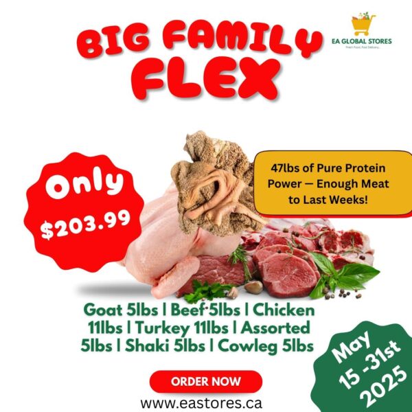 BIG FAMILY FLEX
