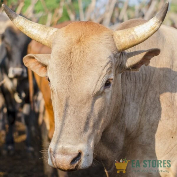 Cow Sharing (beef)