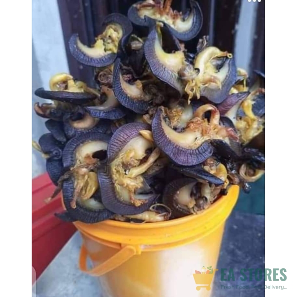 Large Snail