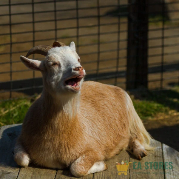 Goat meat (Female)