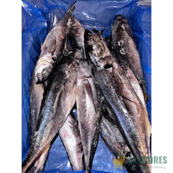 Kote (Horse Mackerel)