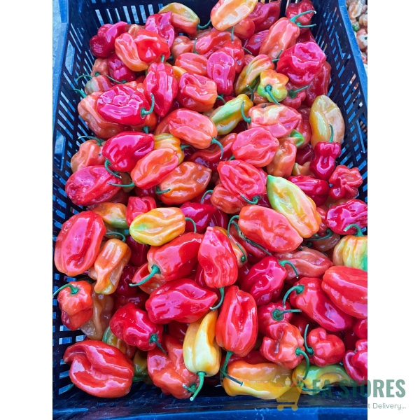 Habanero (spicy)