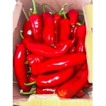 Shepherd Pepper