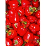 Bell Pepper