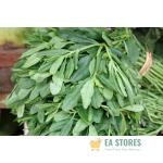 Waterleaf