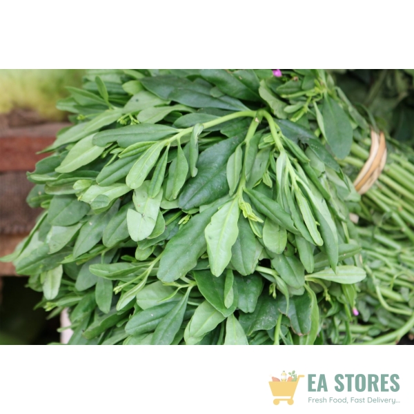 Waterleaf