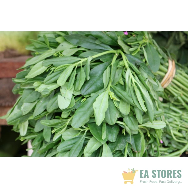 Waterleaf