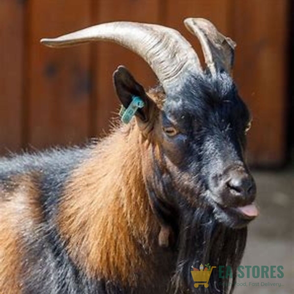 Goatmeat (Male)