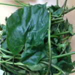 Utazi Leaf