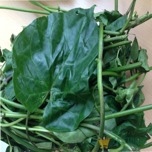 Utazi Leaf