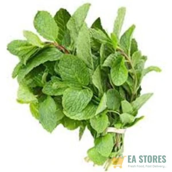 Scent Leaf
