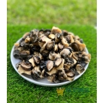 Ngolo (sea snail)