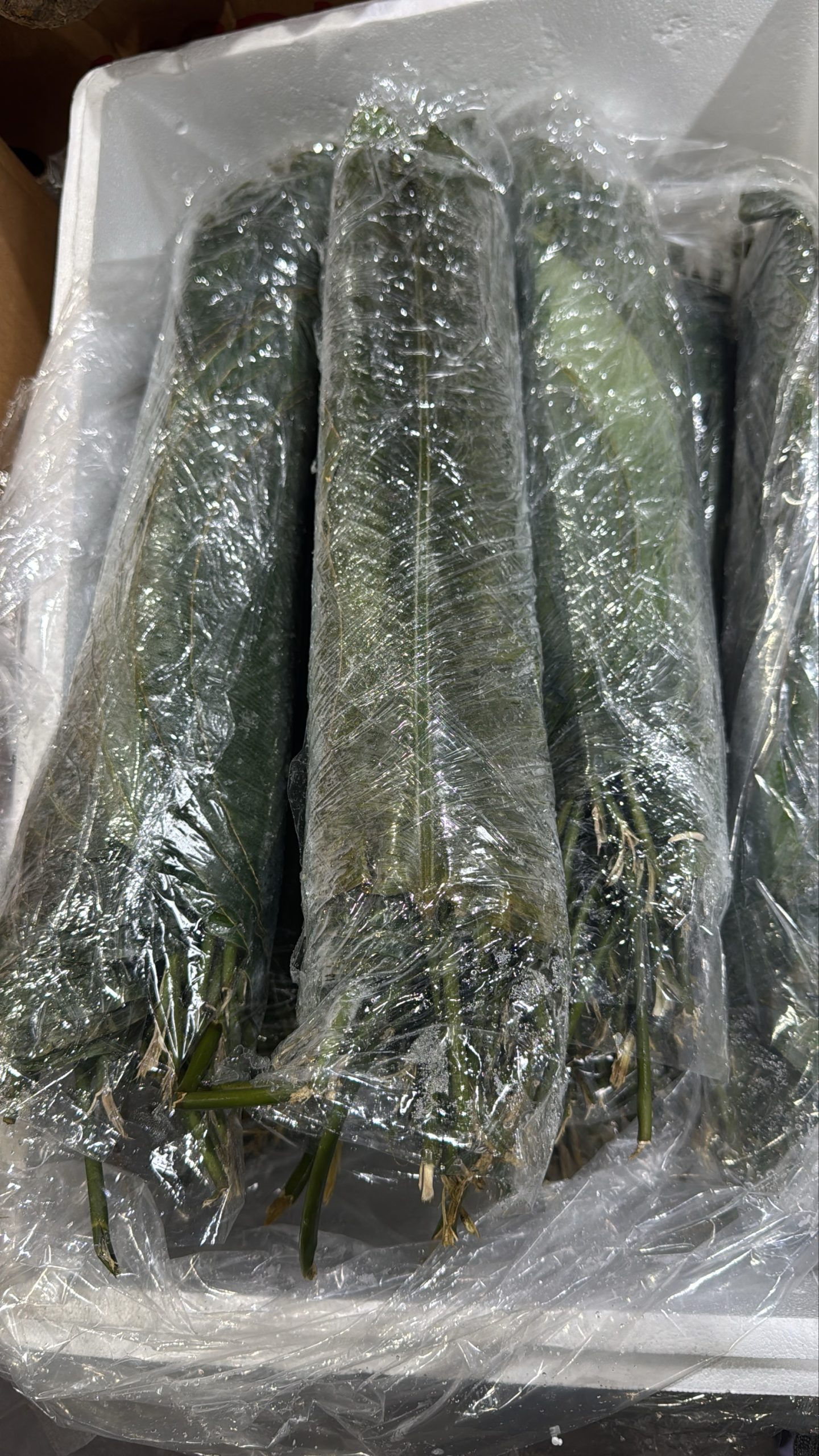 c1621b4f-cece-4445-9dad-f9d6d7706485