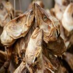 Stock fish head